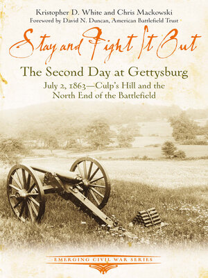 cover image of Stay and Fight it Out